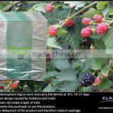 Pears Bag thumbnail-5