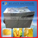 large capacity mango machinery for sale