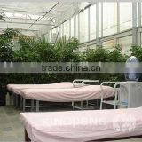 flower type physiotherapy green house
