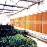 Commercial Greenhouse thumbnail-1