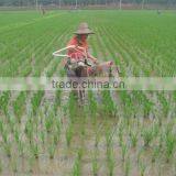Small Weeder for Paddy Field thumbnail-3