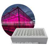 Low Price High Power Cidly Grow Leds From Shenzhen Factory thumbnail-1