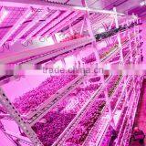 Waterproof IP65 36w Cheap Grow Lights for Indoor Plants thumbnail-6