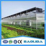 Low Cost Polycarbonater Garden Flowers thumbnail-3