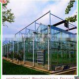 Hot Sale 12m Multi-span Glass Greenhouse Grow Tent for Vegetables thumbnail-2