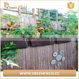Wholesale Vertical Wall Garden Plant Grow Container Bags Living Felt Wall thumbnail-3