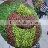 CHY1010808 Shaped Human Face Sculpture,artificial Topiary Plastic Sculpture thumbnail-1