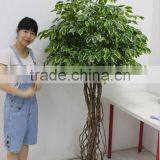 Indoor Decoration Fake Banyan Tree for Sale,fake Banyan Trees thumbnail-2