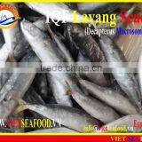 IQF LAYANG SCAD WHOLE ROUND thumbnail-4