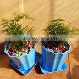 Derocative Mini Attactive Flower Pot thumbnail-2