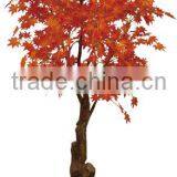 Foliage Plants Bonsai From Guangzhou Factory thumbnail-5