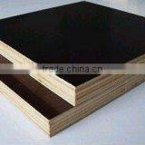 Marine Grade Plywoods thumbnail-1