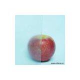 Sell Non-Glare Glass thumbnail-1