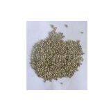 Piper Nigrum Extract 10% Piperine