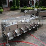 Widely Used Hawthorn Dates Longan Fruits Grading Machine thumbnail-5
