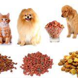 How to Pet Food Extruder Machine? thumbnail-1