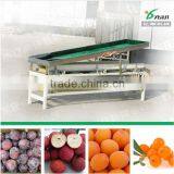 High Efficiency Factory Jujube Sorting Machine thumbnail-4