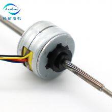 25mm Micro Stepper Motor Linear Stepper Motor for Beauty Instrument thumbnail-3