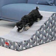 Pet Ramps With Cartoon Cover thumbnail-2