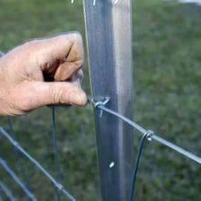 7 ft Height Heavy Duty Studded Y Post With Spade Studs Galvanized Steel Y Fence Post thumbnail-6