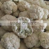 Fresh White Cauliflower thumbnail-1
