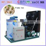 Good Price Ice Flake Maker Machine With Cold Room for Store Ice