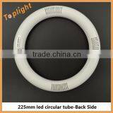 85-277V LED Circline Lamp T9 Annular Lights 8'' 10W thumbnail-3