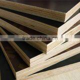 Film Faced Shuttering Plywood for Construction Corrosion Resistant Waterproof thumbnail-3