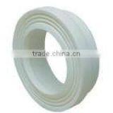 Amico High Quality CE Certificate PPR Flange/PPR Fitting