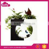 Cheap Perspex Corner Aquarium For Sale, Aquarium Tank thumbnail-1