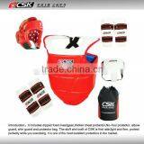 Double Sided TKD Protectors Set