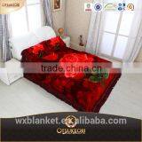 Hot Sale High Grade 100% Polyester Sleeping Bear Blanket and Bedding Set.