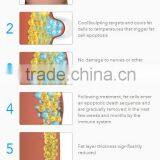 Vertical Newest Cryo Slimming Fat Freeze Machines Cryolipolysis Laser Weight Loss thumbnail-6