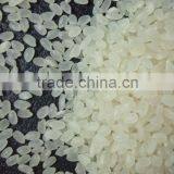 Short Grain Rice Sushi Rice thumbnail-1