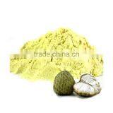 Spray Dried Custard Apple Powder