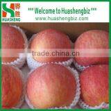 Top Quality Chinese 9kg-20kg Carton Fresh Fuji Apple thumbnail-4