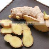 Wholesale Organic Common Cultivation Type Fresh Ginger thumbnail-3