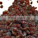 DRY INDUSTRIAL RAISIN FROM INDIA thumbnail-3