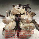 Frozen Blue Swimming Crab for Hot Sale thumbnail-5