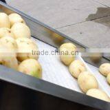 Full Automatic High Efficiency Cucumber Packing Sealing Machine thumbnail-6