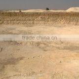Diatomaceous Earth Powder thumbnail-3
