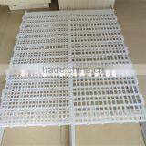High Quality Plastic Pvc Slat Chicken Floor thumbnail-2