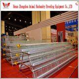 Hot Selling Good Quality Automatic Chicken Egg Layer Cage thumbnail-1