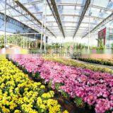 Gardening Green House thumbnail-2