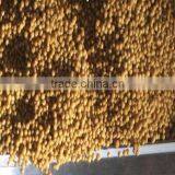 Professional Supplier of Fish Food Making Machine/floating Fish Food Machine thumbnail-2