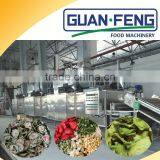 Dehydrated Vegetable Processing Dried Fruit Production Line