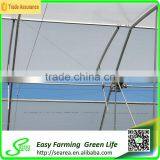 Hot Sale Agriculture Polycarbonate Greenhouse Shade Green House Design thumbnail-2
