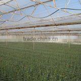 Blowing Molding, Multi-span, Tunnel PE Material, Agricultural Greenhouse Film Manufacturer thumbnail-3