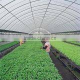 Tunnel Greenhouse Film Cover Low Cost Agricultural Farm Steel Frame Comercial Green House Single Span thumbnail-4