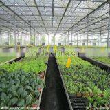 Greenhouse PE vegetable sun plastic shade net